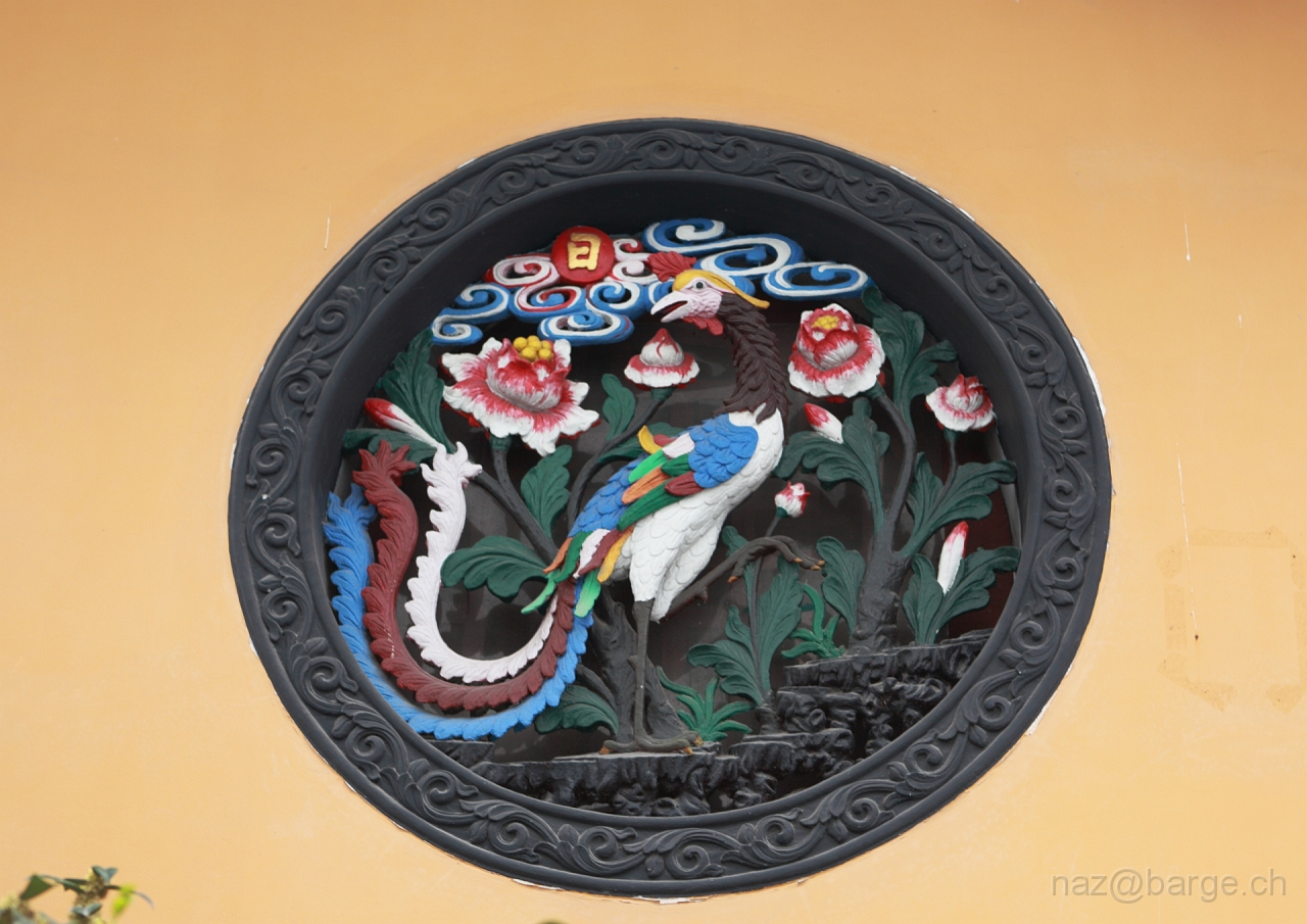 EOS 5D Mark II16_04_20134921.JPG